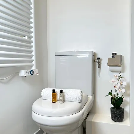 Luxurious In Le Marais Apartment